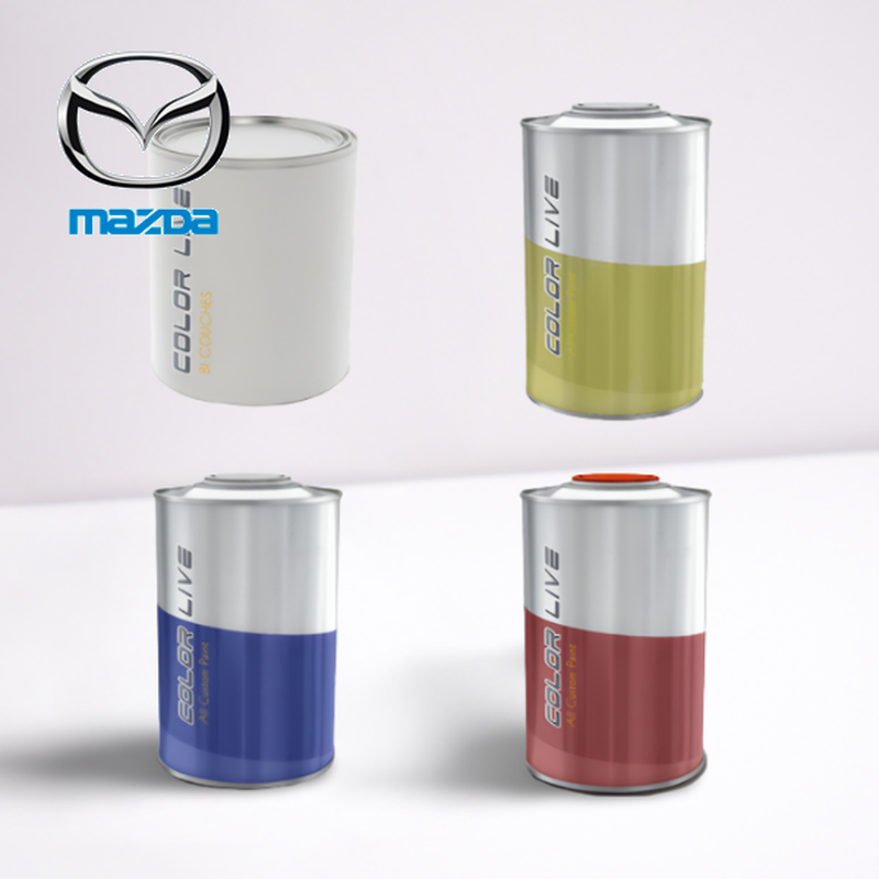 PACK FLACON DE RETOUCHE + VERNIS MAZDA