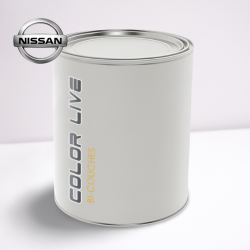 BOMBE DE PEINTURE NISSAN