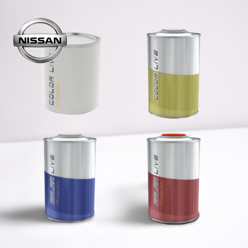 PACK FLACON DE RETOUCHE + VERNIS NISSAN