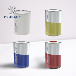 PACK FLACON DE RETOUCHE + VERNIS PEUGEOT