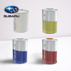 PACK FLACON DE RETOUCHE + VERNIS SUBARU