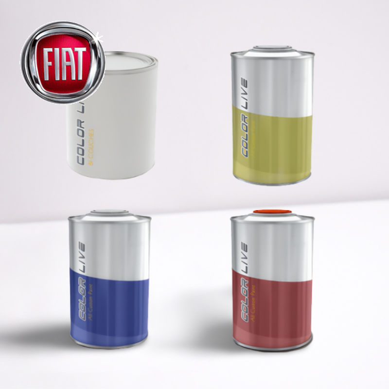 PACK FLACON DE RETOUCHE + VERNIS FIAT