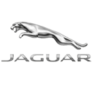 Peinture Jaguar